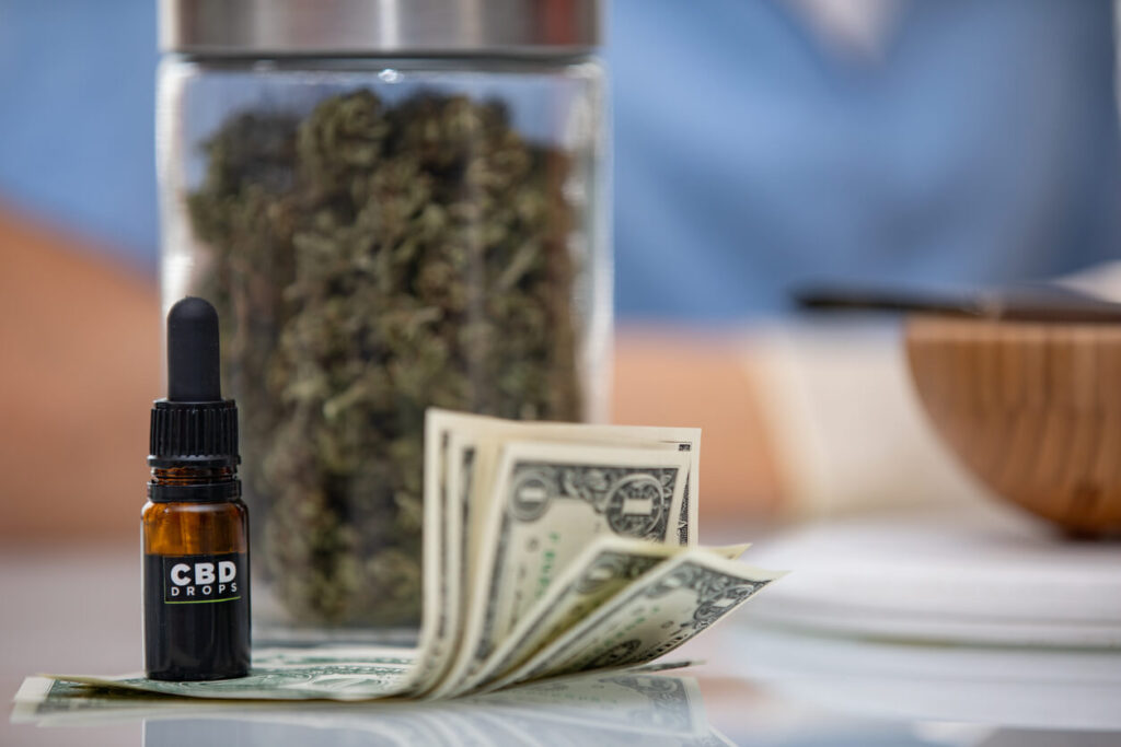 cannabis plant and cbd oil with money
