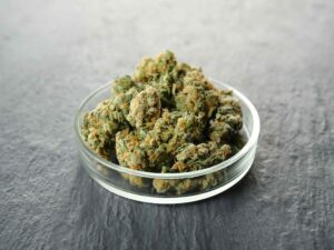 marijuana business loans